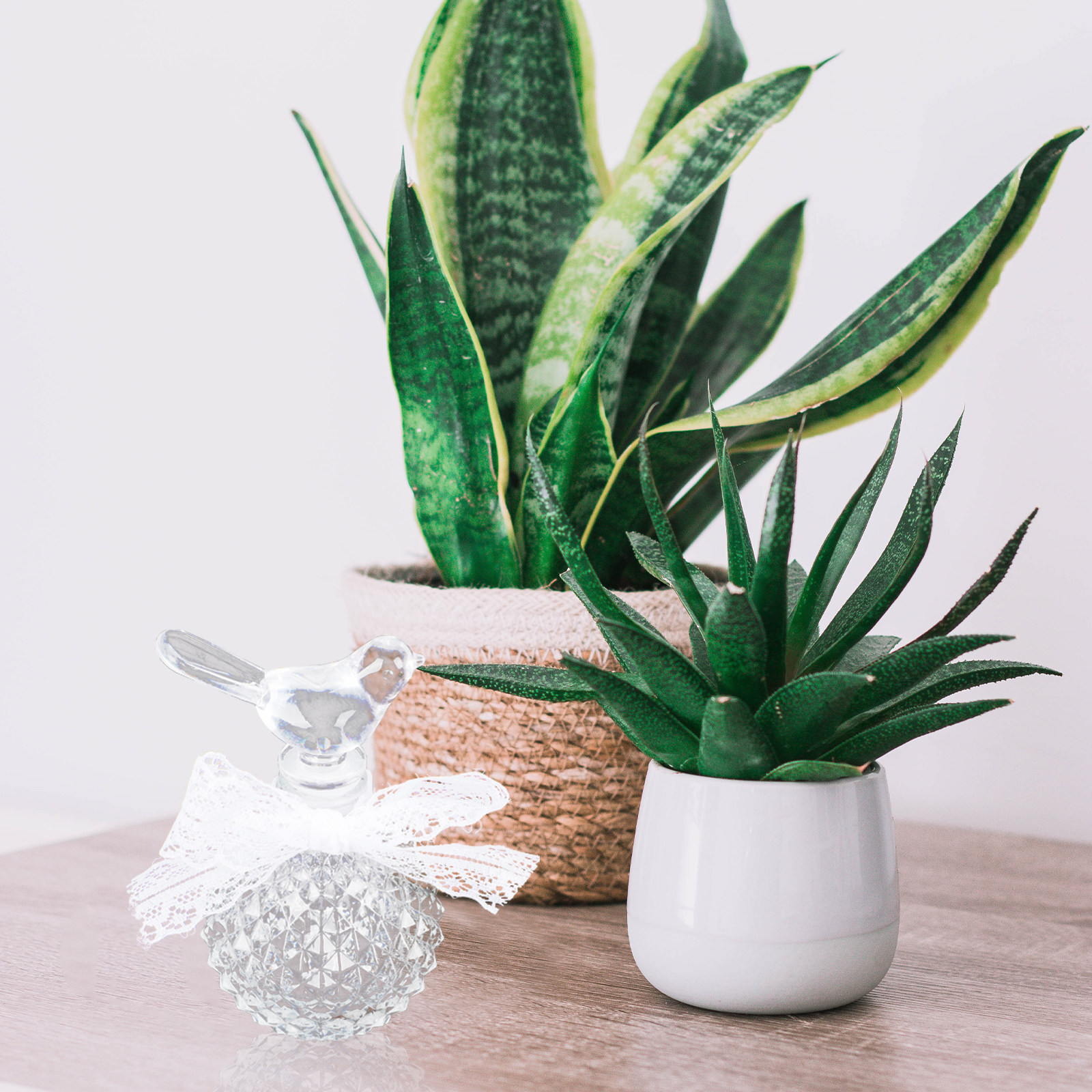 Прозрачный рельефный стеклянны – обзор и цена Fragrance Home Decor