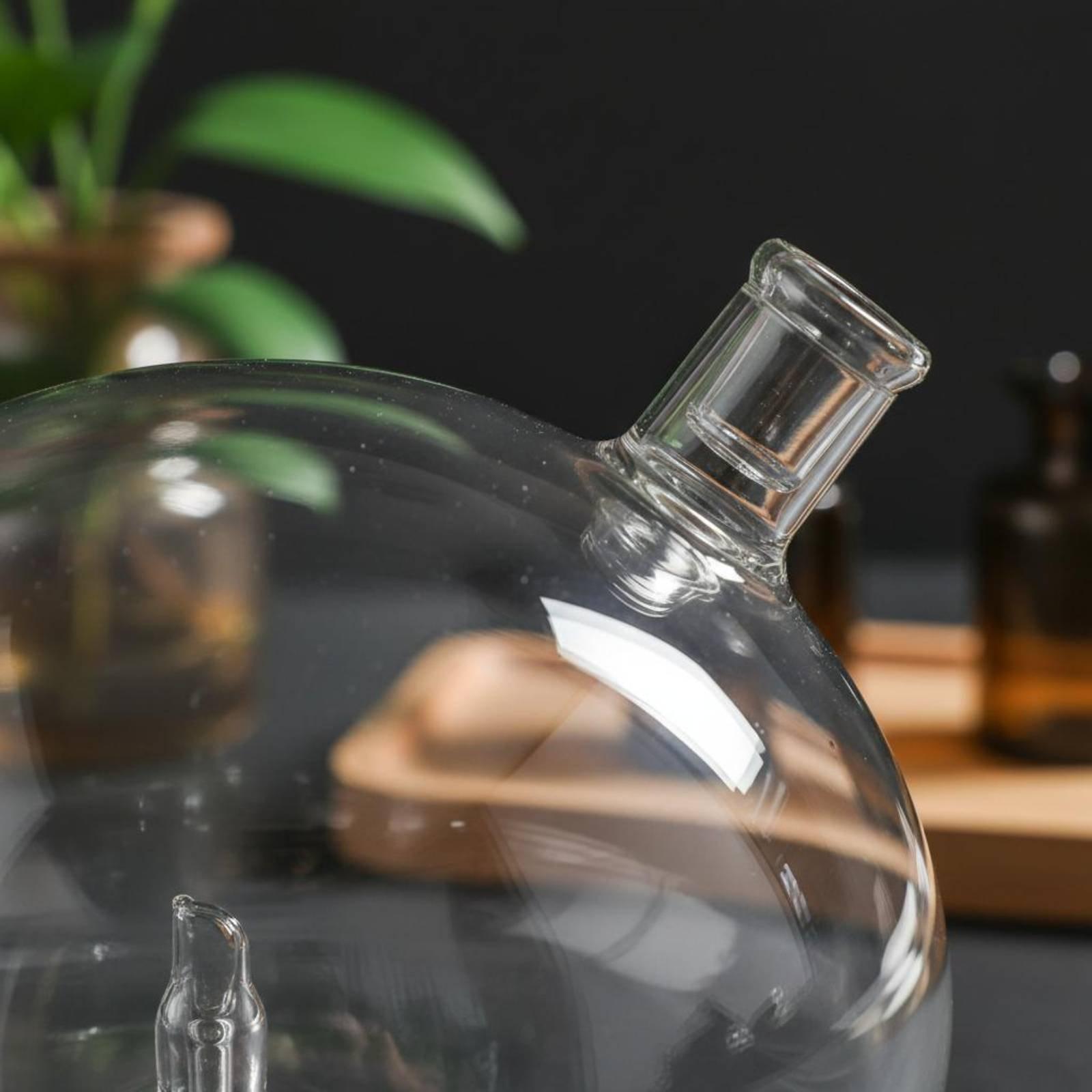 Универсальный стеклянный сменн – обзор и цена Home Fragrance Diffusers