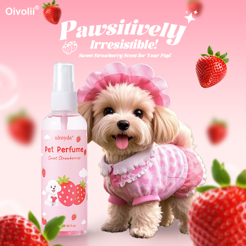 Парфюмированный спрей для живо – обзор и цена Home Fragrance That Lasts Long
